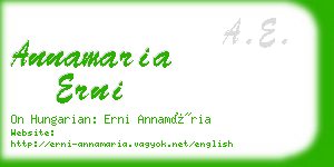 annamaria erni business card